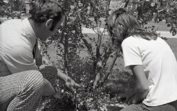 Professor and student looking at a broadleaf tree