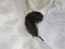 Black Plume Feathers X 2