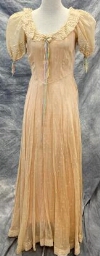 Beige Organdy Embroidered Dress