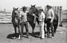 Men standing with horses