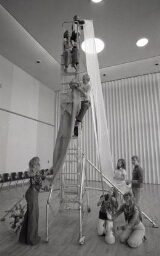 Picture of students on a ladder