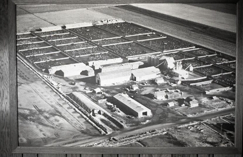 Elevated view of Dairy Farm