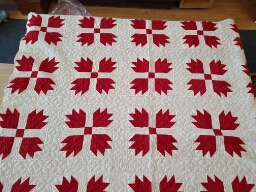 Bear paw quilt